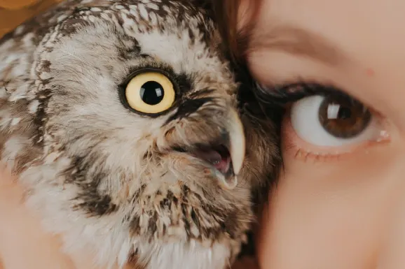 Lucky Tiger Casino Support